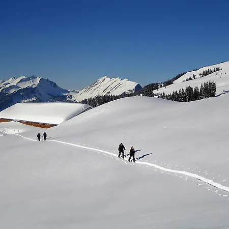 Carolines Au (Vorarlberg)