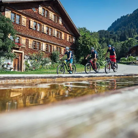 Carolines Appartement Au - Bergblick, Terrasse, Parkplatz, Zentraler Punkt Zum Ski- Und Wandergebiet, Hund Willkommen - Ideal Fuer Familien Und Naturverbundene Paare