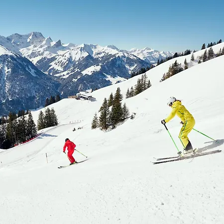Apartment Carolines Appartement Au - Bergblick, Terrasse, Parkplatz, Zentraler Punkt Zum Ski- Und Wandergebiet, Hund Willkommen - Ideal Fuer Familien Und Naturverbundene Paare