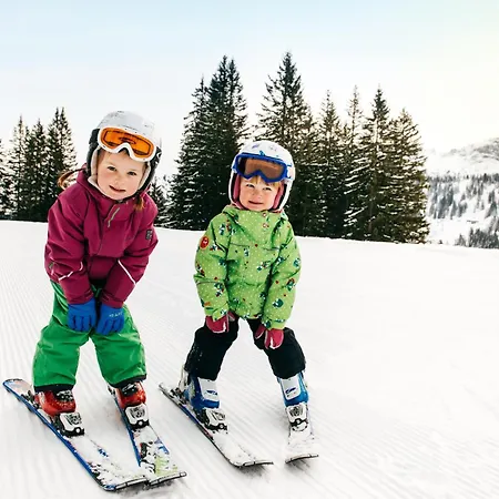 Carolines Appartement Au - Bergblick, Terrasse, Parkplatz, Zentraler Punkt Zum Ski- Und Wandergebiet, Hund Willkommen - Ideal Fuer Familien Und Naturverbundene Paare *