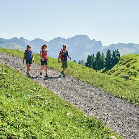 Apartment Carolines Appartement Au - Bergblick, Terrasse, Parkplatz, Zentraler Punkt Zum Ski- Und Wandergebiet, Hund Willkommen - Ideal Fuer Familien Und Naturverbundene Paare