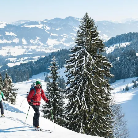 Carolines Appartement Au - Bergblick, Terrasse, Parkplatz, Zentraler Punkt Zum Ski- Und Wandergebiet, Hund Willkommen - Ideal Fuer Familien Und Naturverbundene Paare Apartment Au (Bregenz)