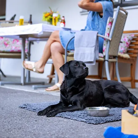 Carolines Appartement Au - Bergblick, Terrasse, Parkplatz, Zentraler Punkt Zum Ski- Und Wandergebiet, Hund Willkommen - Ideal Fuer Familien Und Naturverbundene Paare * Au (Bregenz)