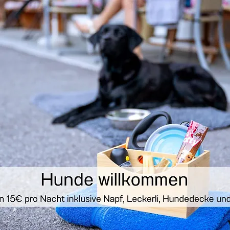 Carolines Appartement Au - Bergblick, Terrasse, Parkplatz, Zentraler Punkt Zum Ski- Und Wandergebiet, Hund Willkommen - Ideal Fuer Familien Und Naturverbundene Paare Apartment *