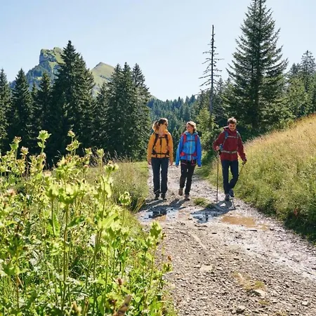 Carolines Appartement Au - Bergblick, Terrasse, Parkplatz, Zentraler Punkt Zum Ski- Und Wandergebiet, Hund Willkommen - Ideal Fuer Familien Und Naturverbundene Paare * Au (Bregenz)