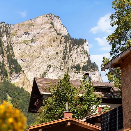 Apartment Carolines Appartement Au - Bergblick, Terrasse, Parkplatz, Zentraler Punkt Zum Ski- Und Wandergebiet, Hund Willkommen - Ideal Fuer Familien Und Naturverbundene Paare