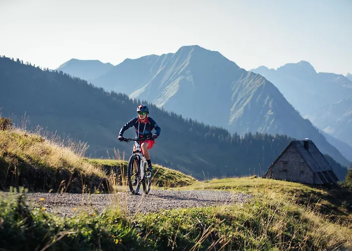 Apartment Carolines Appartement Au (Bregenz)