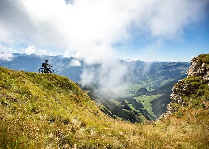 Carolines Appartement Apartment