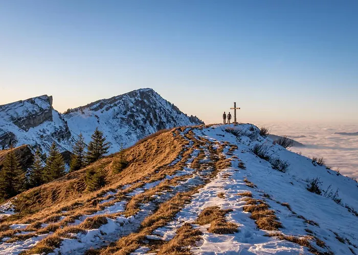 Carolines Appartement Apartment Au (Bregenz)
