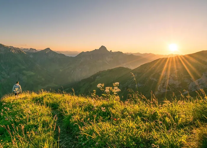 Carolines Appartement Apartment